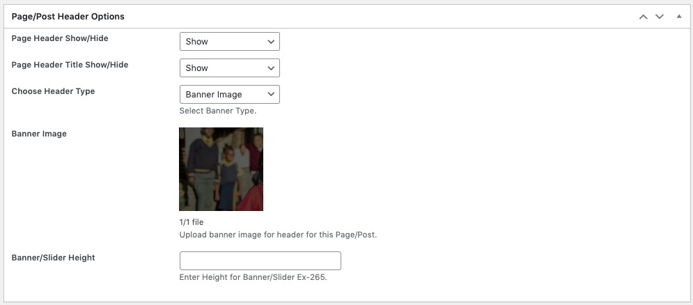 Website Header – Support imithemes